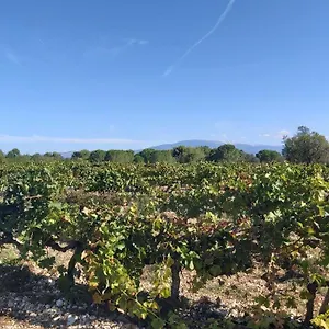 Gite Dans Les Pins Avec Piscine Vakantiehuis